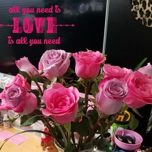 Meet your Posher, Tabitha